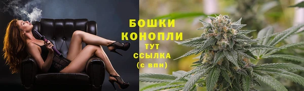 прущие грибы Горнозаводск