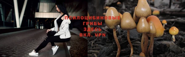 прущие грибы Горнозаводск