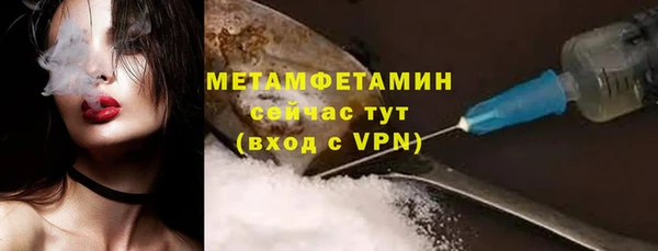 прущие грибы Горнозаводск