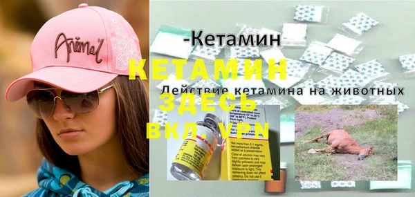 PSILOCYBIN Горно-Алтайск