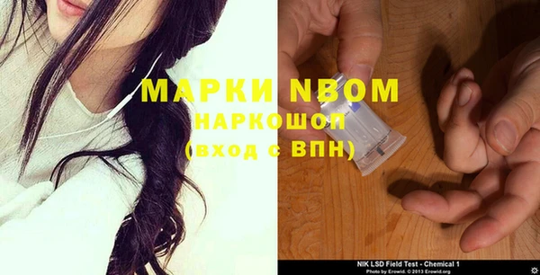 PSILOCYBIN Горно-Алтайск
