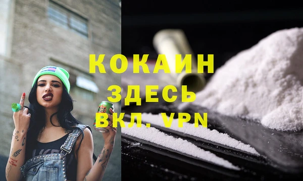 PSILOCYBIN Горно-Алтайск